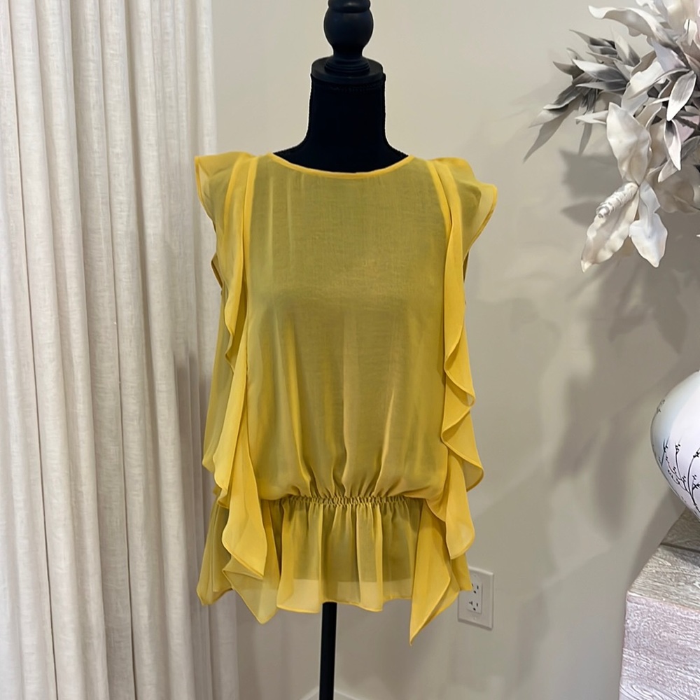 BCBG Maxazria  see-through top from France